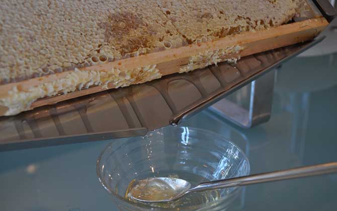 蜂蜜美容是真的吗?答案是必定的,更被称为“可食用的美容剂”!