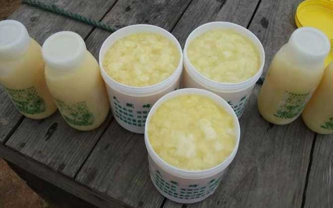 蜂王浆怎样吃最好?除了要适量以外,还要留意蜂王浆的忌讳人群!