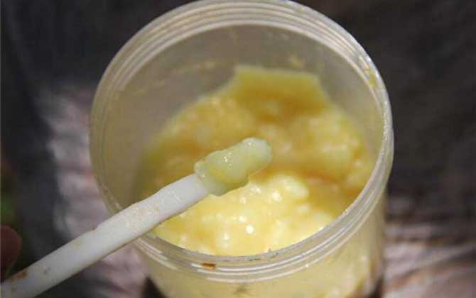 蜂王浆怎样吃最好?除了要适量以外,还要留意蜂王浆的忌讳人群!
