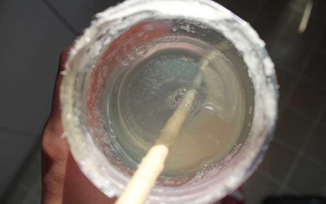 假蜂蜜的特色有哪些?除了外观和口感,能不能结晶也是重要特征!