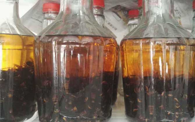 蜂酒的成效与效果有哪些?不但能祛风除湿,并且还能补肾壮阳!
