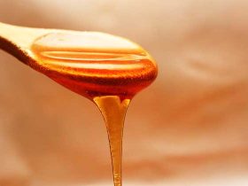 每天喝蜂蜜水好吗？要害要看饮用量，长时间过量饮用极易引起肥壮！