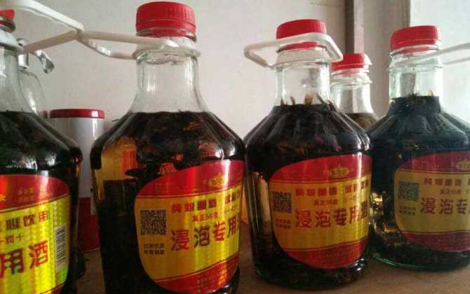 虎头蜂酒真的能壮阳吗?有必定的辅佐作用,但饮用不妥易中毒!