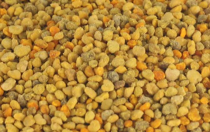 女性吃花粉的优点和害处,适量吃对健康有利,过量吃反而有害!