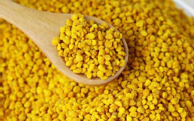 女性长时间吃花粉好吗?对健康大有优点,但肯定不能过量食用!