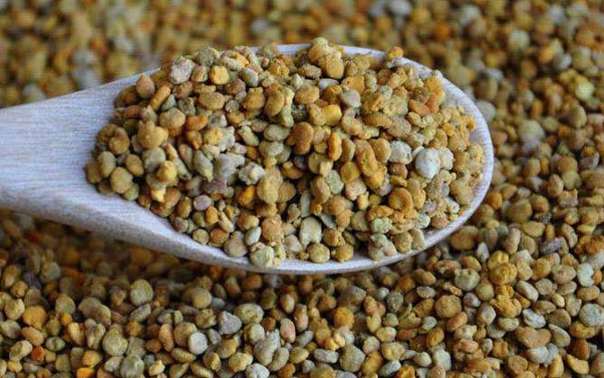 女性长时间吃花粉好吗?对健康大有优点,但肯定不能过量食用!