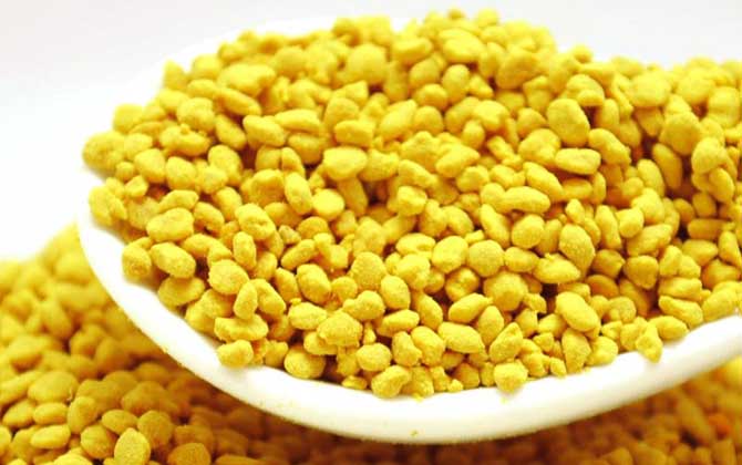 女性长时间吃花粉好吗?对健康大有优点,但肯定不能过量食用!