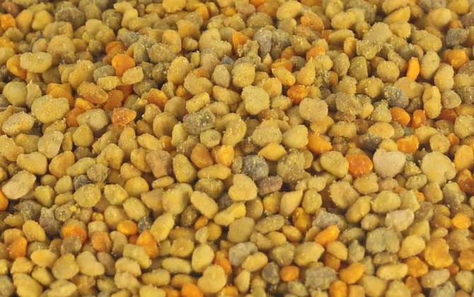 女性长时间吃花粉好吗?对健康大有优点,但肯定不能过量食用!