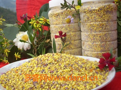 怎样用花粉喂蜜蜂