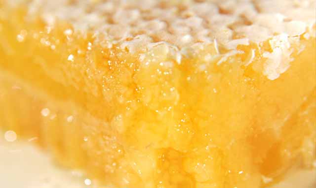 春蜜，夏蜜，秋蜜，冬蜜