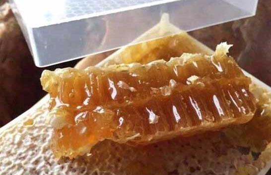 常见的蜂巢蜜可以造假吗？