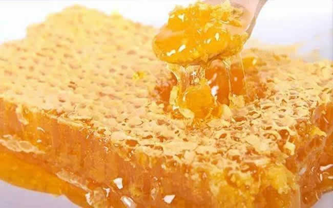 蜂巢脾是什么 – 蜂巢脾的功效与作用