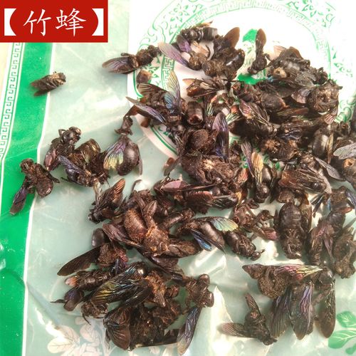 咸竹蜂是什么蜂 – 咸竹蜂的功效作用与禁忌