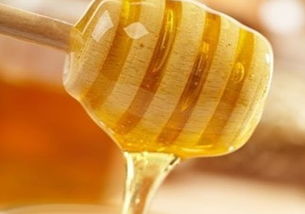 蜜蜂的触角是跟蜂王行礼吗(蜜蜂触角中隐藏的2大秘密)