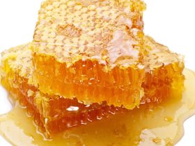 培养蜜蜂王是用什么糖（蜜蜂喂白糖几天喂一次）