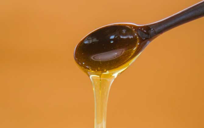 什么是枇杷蜜 – 枇杷蜜介绍