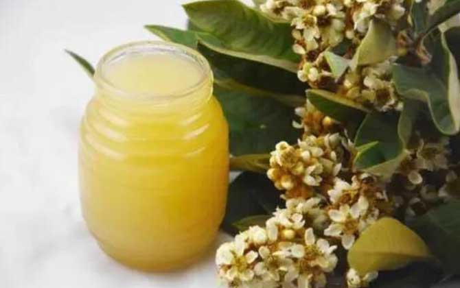 什么是枇杷蜜 – 枇杷蜜介绍
