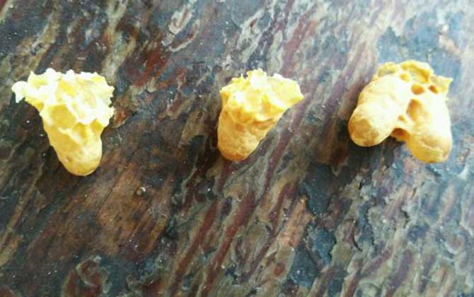 人造王台几天封盖(急造王台几天封盖几天出台)