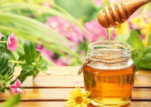 蜜蜂采集五倍子花蜜的条件(五倍子在什么条件下流蜜)