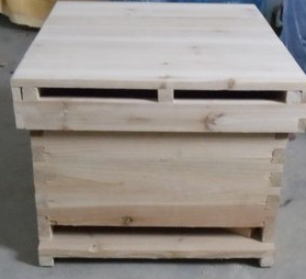 中蜂场地被意蜂侵害怎么办(中蜂被意蜂盗蜜的紧急处理)