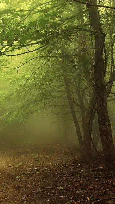 楼顶养蜂对风水有影响吗(养蜂的风水禁忌)
