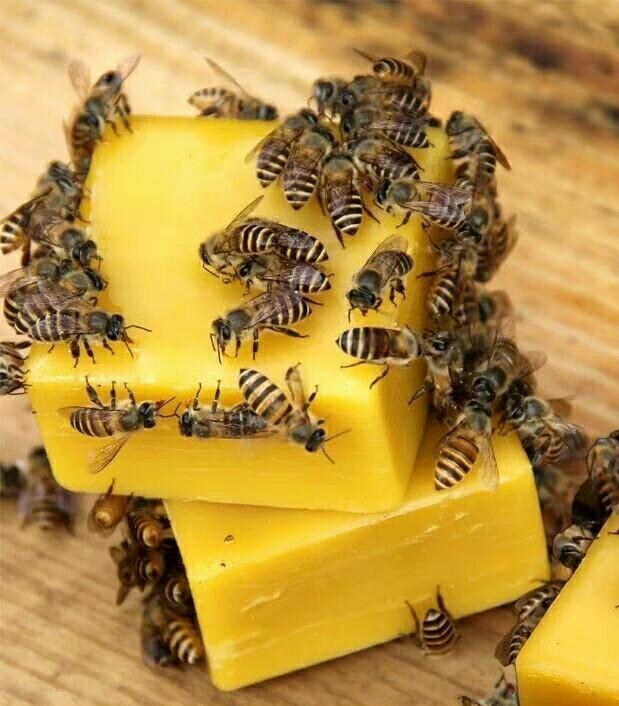 给蜂箱保温用什么材料好(比较好的保温隔热材料是什么)