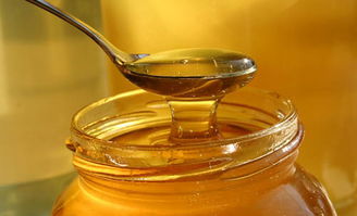 什么是蜂蜜 – 什么样的蜂蜜是最好的