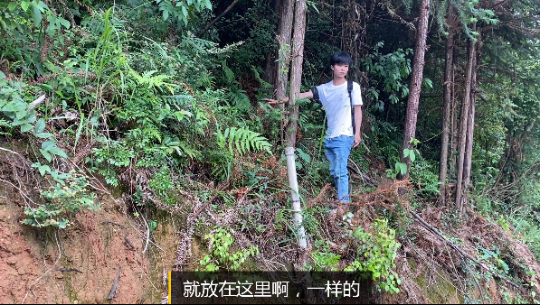 自动草稿 诱蜂箱在山上怎么放 – 诱蜂箱在山上怎么放置
