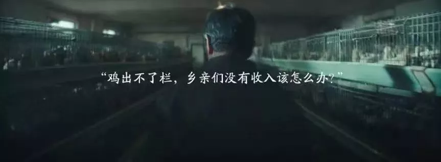 一个人最顶级的自律,是拒绝内耗