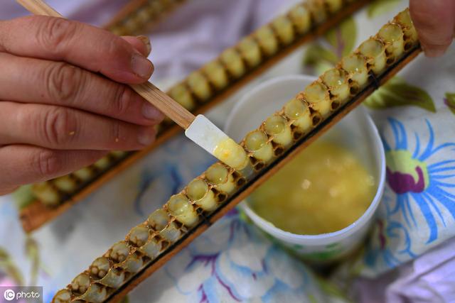 自动草稿 蜂皇浆怎么做 – 蜂皇浆怎么做面膜