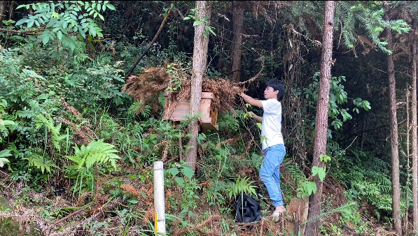 自动草稿 诱蜂箱在山上怎么放 – 诱蜂箱在山上怎么放置