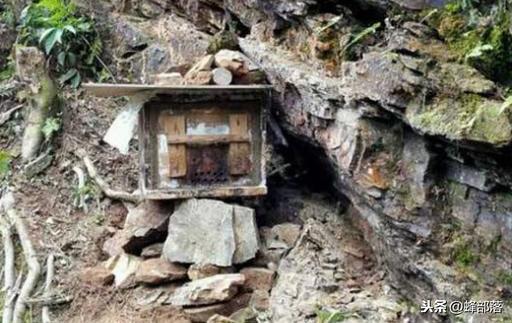 自动草稿 诱蜂箱来了盗蜂怎么办 – 诱蜂箱来了盗蜂怎么办