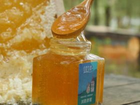 带蜂片的蜂蜜自己怎么处理 – 带蜂片的蜂蜜自己怎么处理好