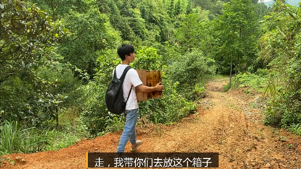 自动草稿 诱蜂箱在山上怎么放 – 诱蜂箱在山上怎么放置
