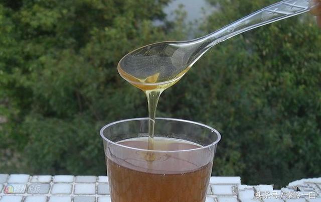 自动草稿 蜂蜜怎么有点酸 – 蜂蜜怎么有点酸酸的