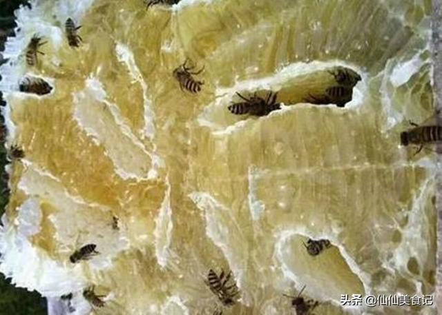 自动草稿 百花牌椴树蜜怎么样 – 百花牌椴树蜜怎么样-