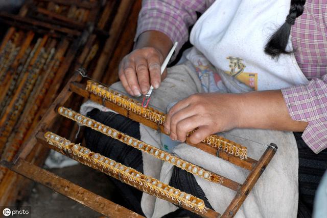 自动草稿 蜂皇浆怎么做 – 蜂皇浆怎么做面膜