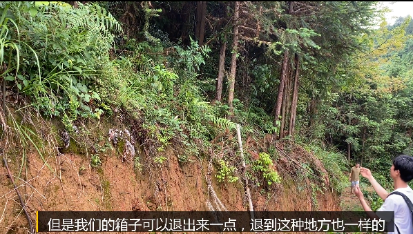 自动草稿 诱蜂箱在山上怎么放 – 诱蜂箱在山上怎么放置