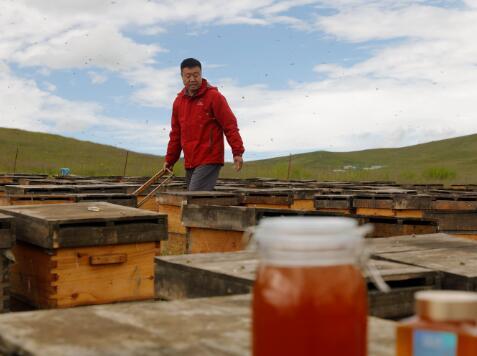 自动草稿 蜂王浆面膜怎么做 – 蜂王浆面膜怎么做好