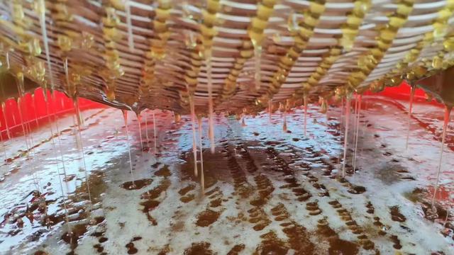 自动草稿 怎么用蜂蜜 – 怎么用蜂蜜做面膜才好