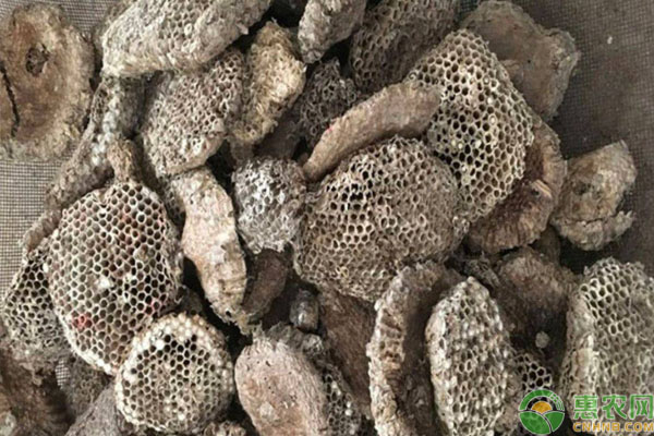 蜂房多少钱一斤？蜂房的功效价值及食用方法