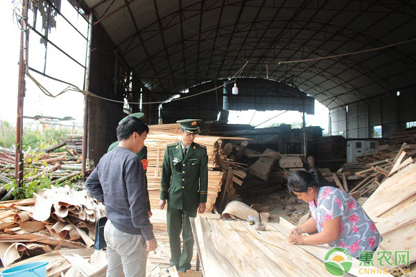 蜂蜜药食两用用途多 价格行情一览