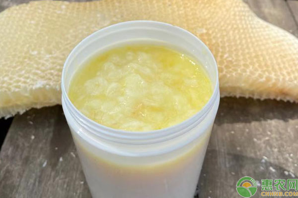 蜂王浆怎么辨别真假?和蜂蜜有什么区别?