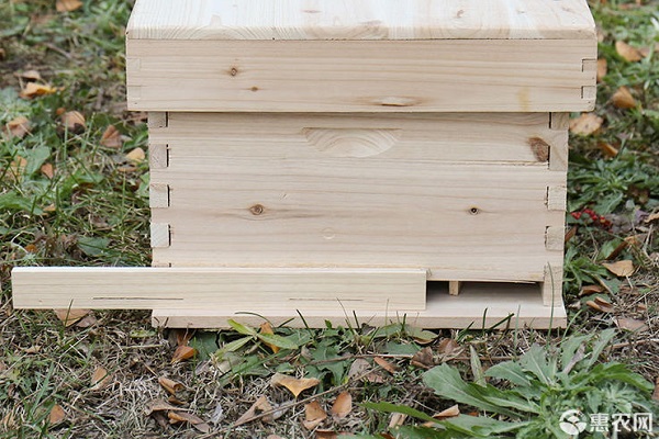 蜂箱多少钱一个？