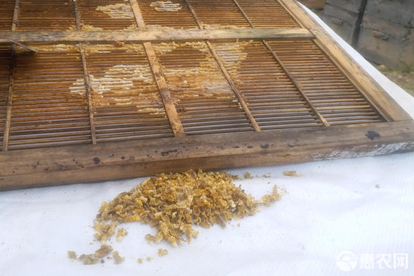 蜂胶是蜜蜂的什么产物?怎么保存?